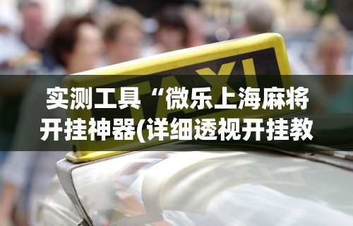 实测工具“微乐上海麻将开挂神器(详细透视开挂教程) 实测工具“微乐上海麻将开挂神器(详细透视开挂教程)