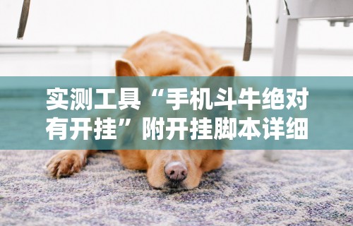 实测工具“手机斗牛绝对有开挂	”附开挂脚本详细教程