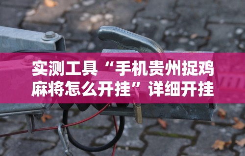 实测工具“手机贵州捉鸡麻将怎么开挂	”详细开挂教程