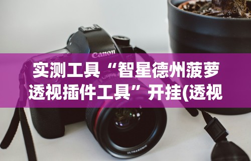 实测工具“智星德州菠萝透视插件工具”开挂(透视)辅助