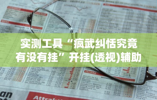 实测工具“疯武纠恬究竟有没有挂	”开挂(透视)辅助教程