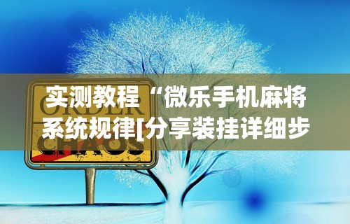 实测教程“微乐手机麻将系统规律[分享装挂详细步骤]