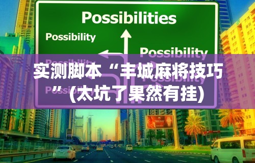 实测脚本“丰城麻将技巧”(太坑了果然有挂)