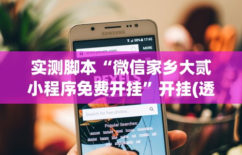 实测脚本“微信家乡大贰小程序免费开挂”开挂(透视)辅助教程
