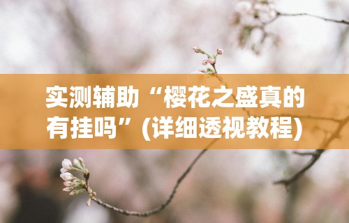 实测辅助“樱花之盛真的有挂吗”(详细透视教程)