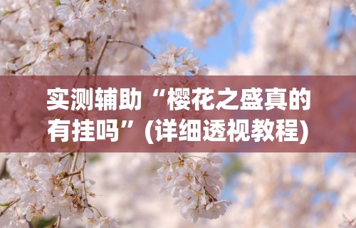 实测辅助“樱花之盛真的有挂吗	”(详细透视教程)