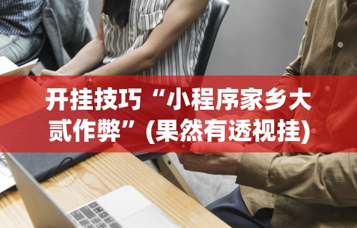 开挂技巧“小程序家乡大贰作弊”(果然有透视挂)