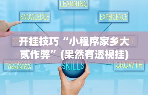 开挂技巧“小程序家乡大贰作弊”(果然有透视挂)