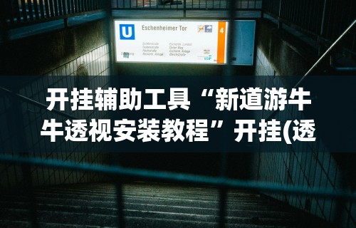 开挂辅助工具“新道游牛牛透视安装教程”开挂(透视)辅助教程