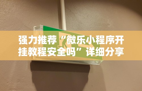 强力推荐“微乐小程序开挂教程安全吗”详细分享装挂步骤教程