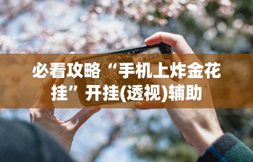 必看攻略“手机上炸金花挂”开挂(透视)辅助