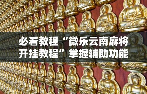 必看教程“微乐云南麻将开挂教程”掌握辅助功能必胜规则