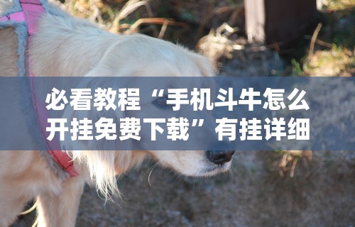 必看教程“手机斗牛怎么开挂免费下载	”有挂详细开挂教程