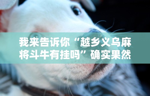 我来告诉你“越乡义乌麻将斗牛有挂吗”确实果然有挂