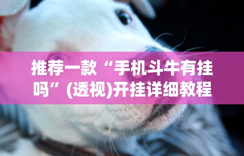 推荐一款“手机斗牛有挂吗”(透视)开挂详细教程