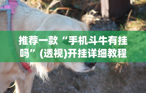 推荐一款“手机斗牛有挂吗”(透视)开挂详细教程