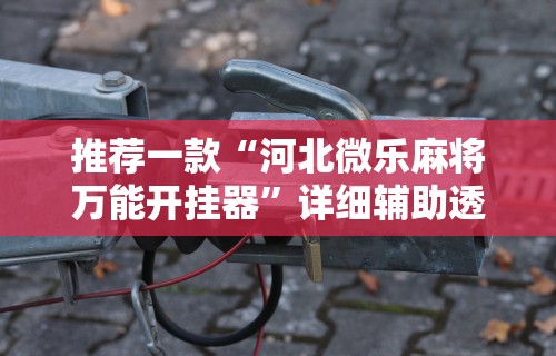 推荐一款“河北微乐麻将万能开挂器”详细辅助透视