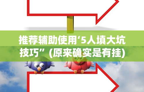推荐辅助使用‘5人填大坑技巧”(原来确实是有挂)