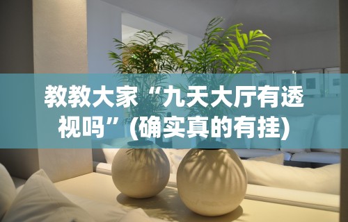 教教大家“九天大厅有透视吗	”(确实真的有挂)