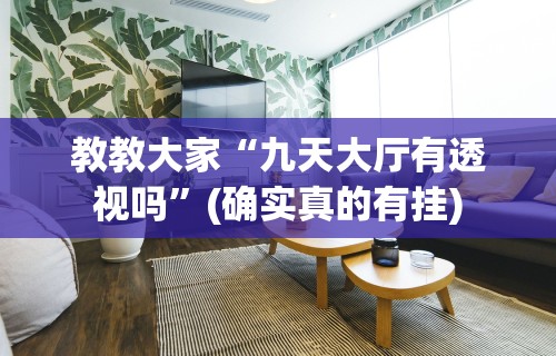 教教大家“九天大厅有透视吗”(确实真的有挂)