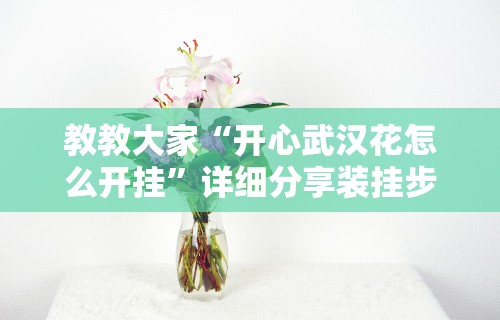 教教大家“开心武汉花怎么开挂”详细分享装挂步骤教程