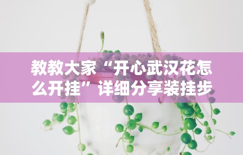 教教大家“开心武汉花怎么开挂”详细分享装挂步骤教程