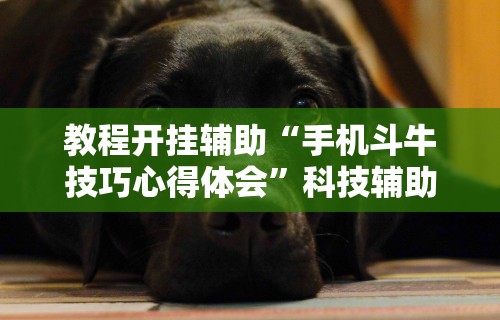 教程开挂辅助“手机斗牛技巧心得体会	”科技辅助神器手机版教程