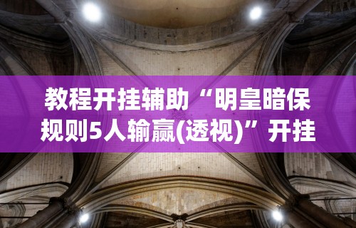 教程开挂辅助“明皇暗保规则5人输赢(透视)	”开挂(透视)辅助教程