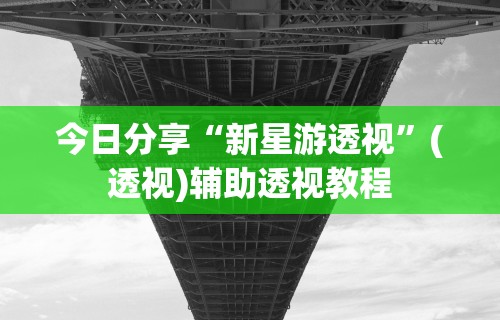 今日分享“新星游透视”(透视)辅助透视教程