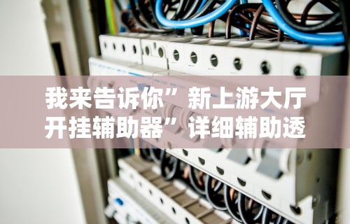 我来告诉你”新上游大厅开挂辅助器”详细辅助透视