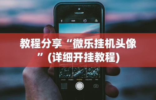 教程分享“微乐挂机头像	”(详细开挂教程)