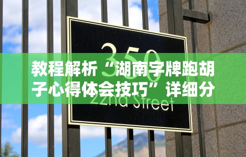 教程解析“湖南字牌跑胡子心得体会技巧”详细分享装挂步骤教程