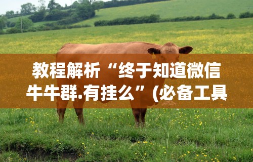 教程解析“终于知道微信牛牛群.有挂么	”(必备工具)辅助教学