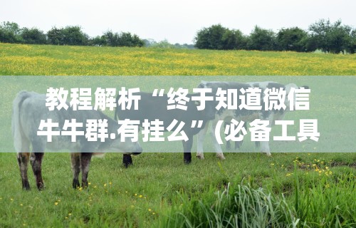 教程解析“终于知道微信牛牛群.有挂么”(必备工具)辅助教学