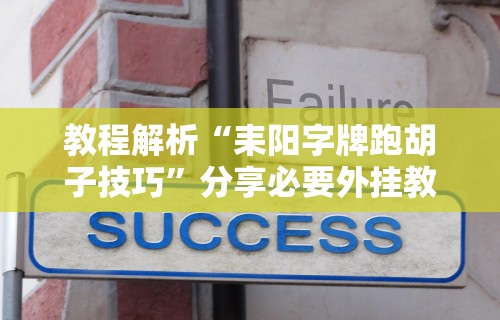 教程解析“耒阳字牌跑胡子技巧”分享必要外挂教程