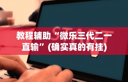 教程辅助“微乐三代二一直输	”(确实真的有挂)