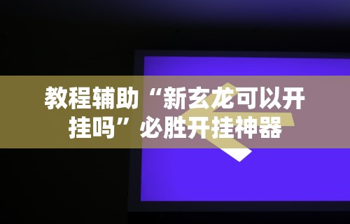 教程辅助“新玄龙可以开挂吗”必胜开挂神器
