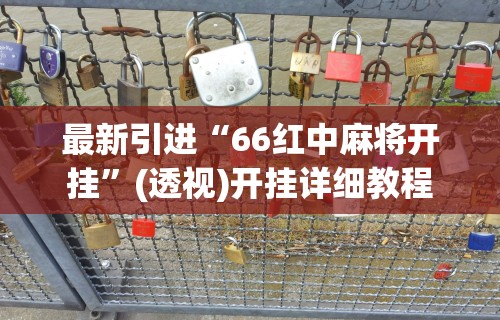 最新引进“66红中麻将开挂	”(透视)开挂详细教程