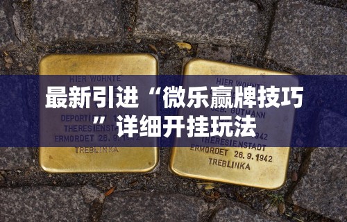 最新引进“微乐赢牌技巧”详细开挂玩法