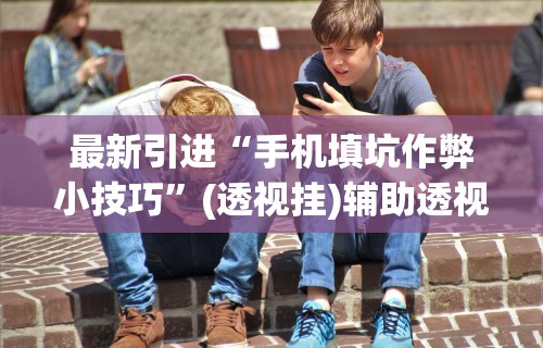 最新引进“手机填坑作弊小技巧”(透视挂)辅助透视教程