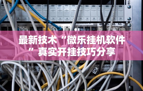 最新技术“微乐挂机软件”真实开挂技巧分享