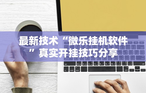 最新技术“微乐挂机软件	”真实开挂技巧分享