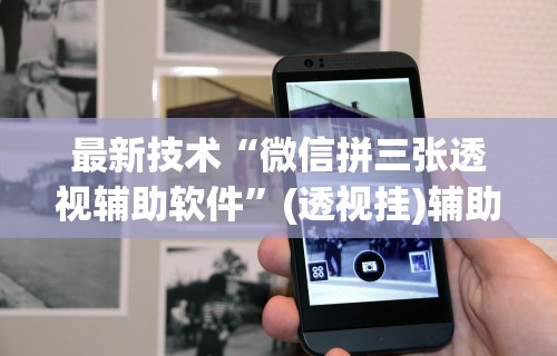 最新技术“微信拼三张透视辅助软件”(透视挂)辅助透视教程