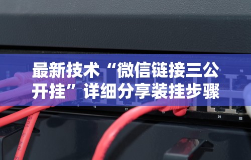 最新技术“微信链接三公开挂”详细分享装挂步骤教程