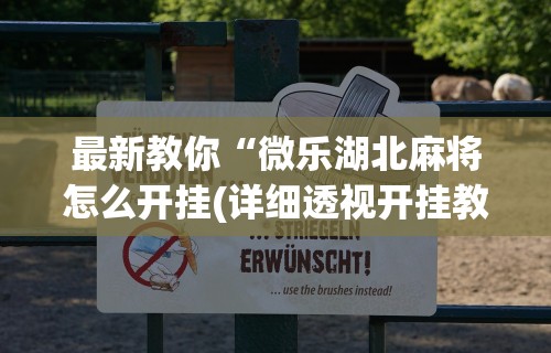 最新教你“微乐湖北麻将怎么开挂(详细透视开挂教程)