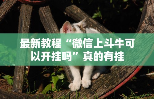 最新教程“微信上斗牛可以开挂吗”真的有挂