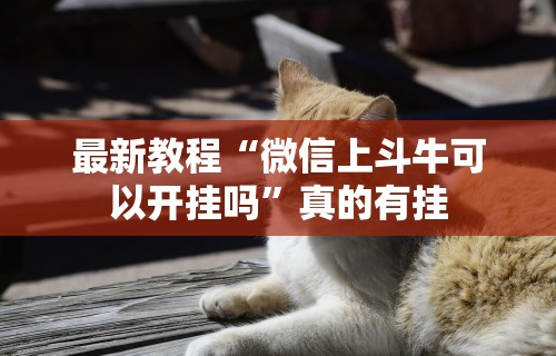 最新教程“微信上斗牛可以开挂吗”真的有挂
