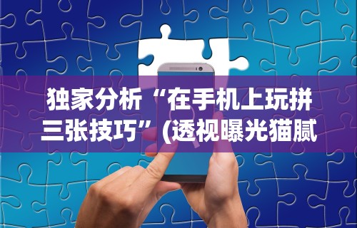 独家分析“在手机上玩拼三张技巧”(透视曝光猫腻)
