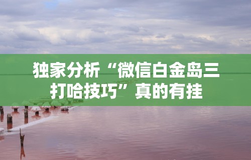 独家分析“微信白金岛三打哈技巧	”真的有挂