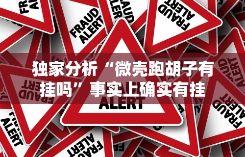 独家分析“微壳跑胡子有挂吗”事实上确实有挂